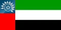 AE Flag.png