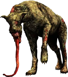 SnifferDogMale
