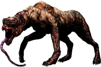 SnifferDogFemale