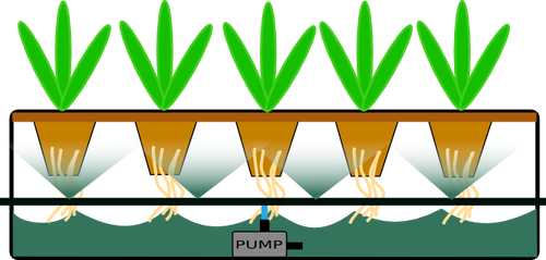 Types of hydroponic systems - Hydroponics Wiki