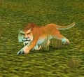 Mountain Cougar.jpg