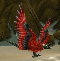 Image of Roc
