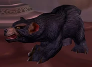 Dun Morogh Cub