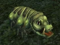 Snarly.jpg
