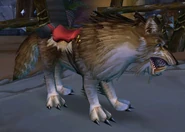 Brown Wolf