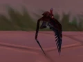 Blood Parrot.jpg