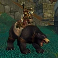 Big Battle Bear.jpg