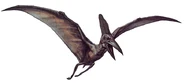 DCPteradon