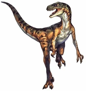 DCVelociraptor