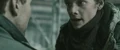 Trailer4-41.JPG