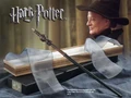 McGonagall'sWand.jpg