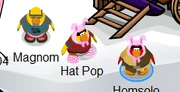 Homsolo and Hat (and Barn Owls Rule)
