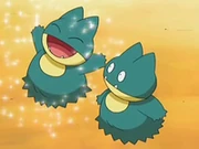 EP545 Munchlax (2)