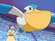 EP547 Pelipper