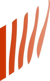 Phylon Transports.png