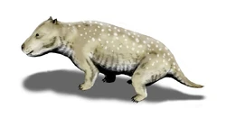 Exaeretodon BW.jpg