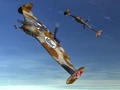 Plane Coyote.jpg