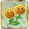 Twin Sunflower2