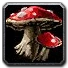 Inv mushroom 07.png