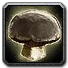Inv mushroom 13.png
