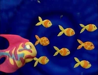 Rainbowfish.8