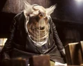 VogonKwaltz