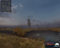 Swamp2