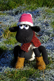 Shaun in the Winter