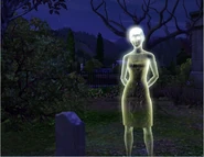 Vein Ghost