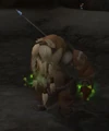 Kaskala Shaman