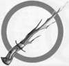 Coralsword