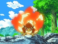 EP550 Chimchar liberando su habilidad
