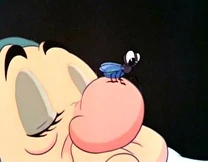 Fly Sleepy