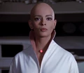 Ilia probe.jpg