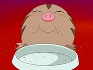 EP553 Swinub comiendo (2)
