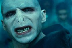 Voldemort snarl
