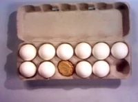 Eggscookies.jpg