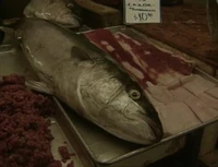 FishMarket