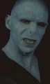 Voldemort possesion.jpg