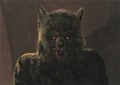 Defel.png