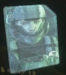 Buck's Face