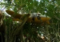 Avion nig&eacute;rian m.jpg