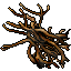 Dry Mangrove