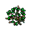 Mangrove (Small)