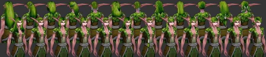 NightElf Female Hairstyles