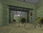 Houndeye pack
