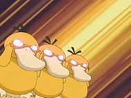 EP556 Psyduck usando confusión (3)