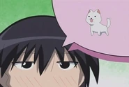 Cap008