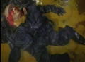 Doom's death.jpg