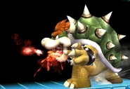 Bowser weak fire